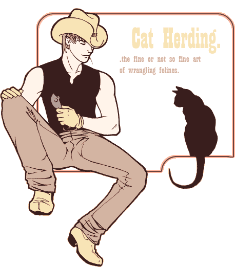 welcome to cat herding